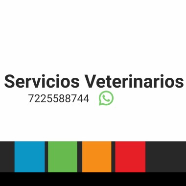 Veterinaria M&M