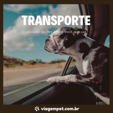 Viagem Pet Transporte De Animais Domésticos