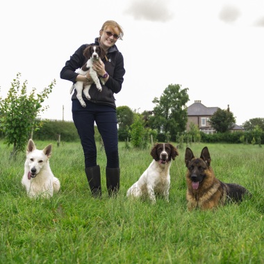 Clever Fox Canine Training and Behaviour