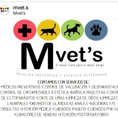 Mvet's