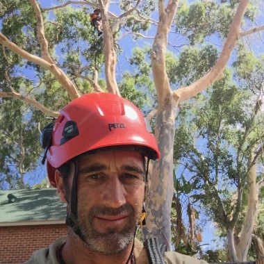 Ace's Tree & Garden Service