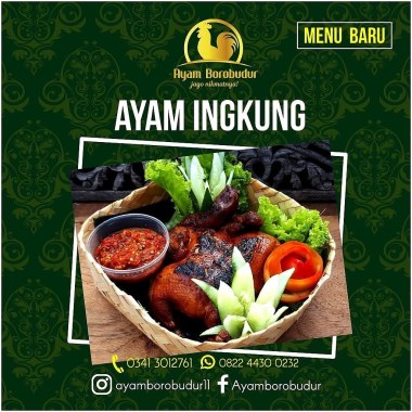 Ayam Borobudur