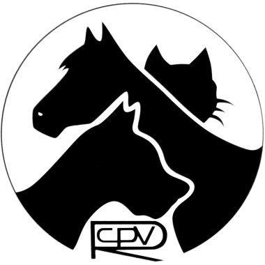 Hospital Veterinario San Vicente