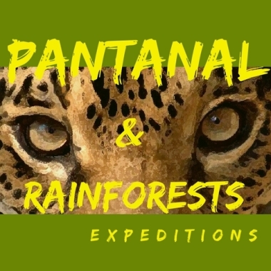 Pantanal & Rainforests Expeditions