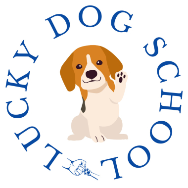 Lucky Dog School
