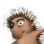 Association For Anim Kids