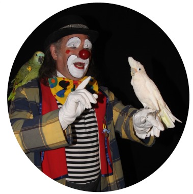 Artiste clown 