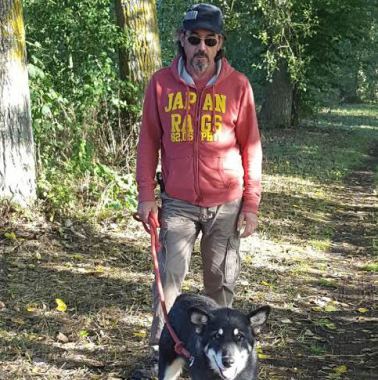Allure de chien