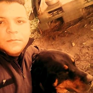 Manejador canino  antinarcóticos antiexplosivo y defensa personal