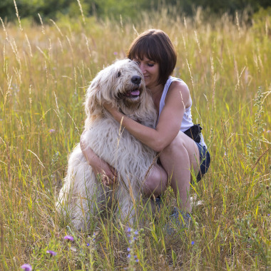 DOG-NET Hanna Bota