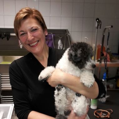 Hundesalon FellKinder