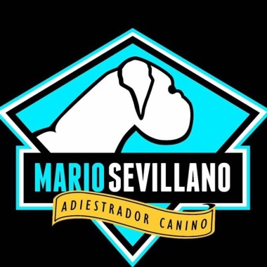 Mario sevillano Adiestrador canino