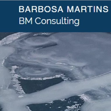 Barbosa Martins Consultoria