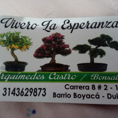 Jardinería