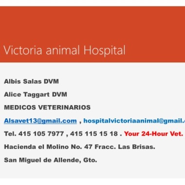 VICTORIA ANIMAL HOSPITAL
