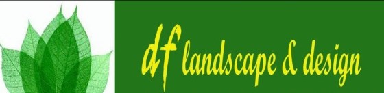 Dafid Florist