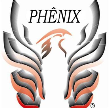 Phênix Eletrônica (Jorge Bispo Lopes Fausto)