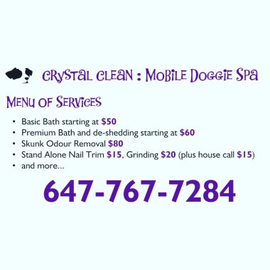 Crystal clean doggie spa