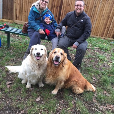 Top dog training school and home boarding