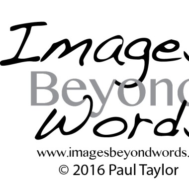 Paul Taylor Photographer