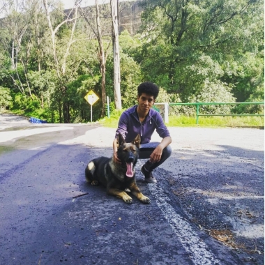 Paseos para perros