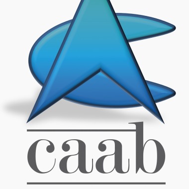 Consultancy And Advisory Business