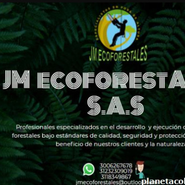 Jm Ecoforestales