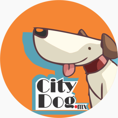 City Dog MX