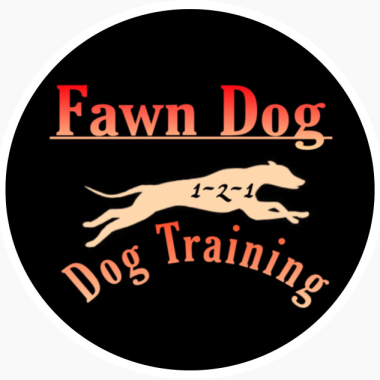 Fawn Dog one to one Dog Training