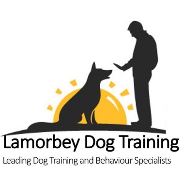 Lamorbey Dog Training