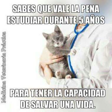 Dr. Manu