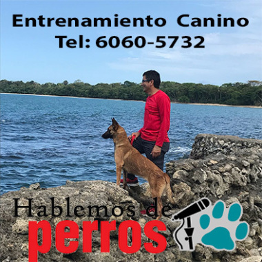 HABLEMOS DE PERROS
