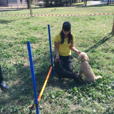 Educazione Cinofila e Pet sitting