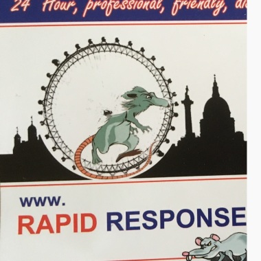 Rapid Response Pest Control