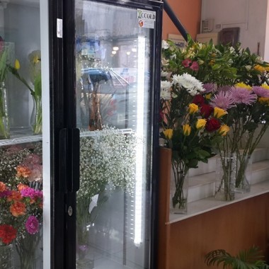 Mil Flores