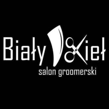 Psi Fryzjer Biały Kieł