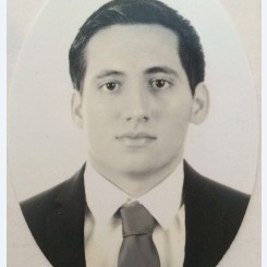 Asesor y Representante Legal.