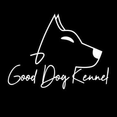 Bursa Köpek Eğitimi