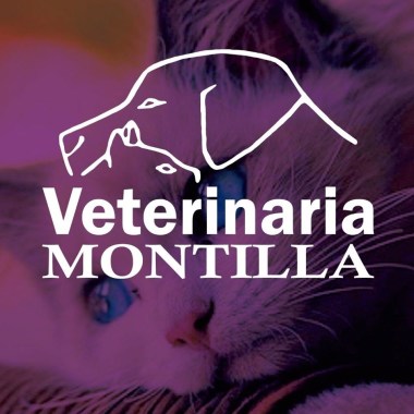Veterinaria Montilla
