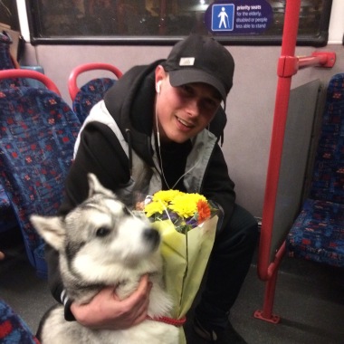 Sheldon Dog Services Ltd