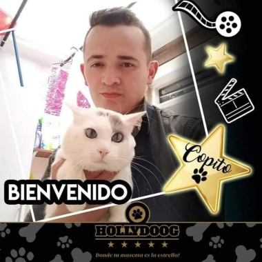 Hollydoog "servicios para mascotas a domicilio"