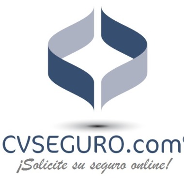 CV Seguro