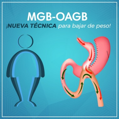 Obesity Care