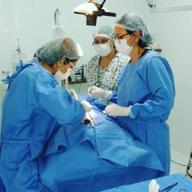 Pet Doc- Centro de Especialidades Veterinárias