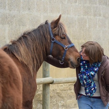 Centre Equestre De La Ferme Des Tilleuls