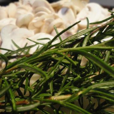Bouquet Garni  Soluciones Gastronomicas