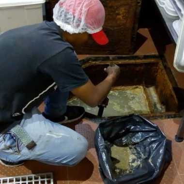Servicios plodrensa