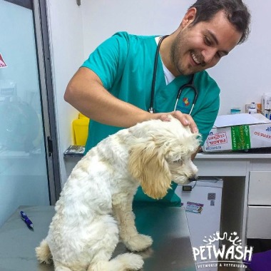 Veterinario a Domicilio Iquique