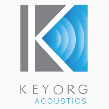 Key Org Consulting