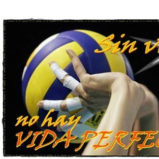 Entrenador de voleibol